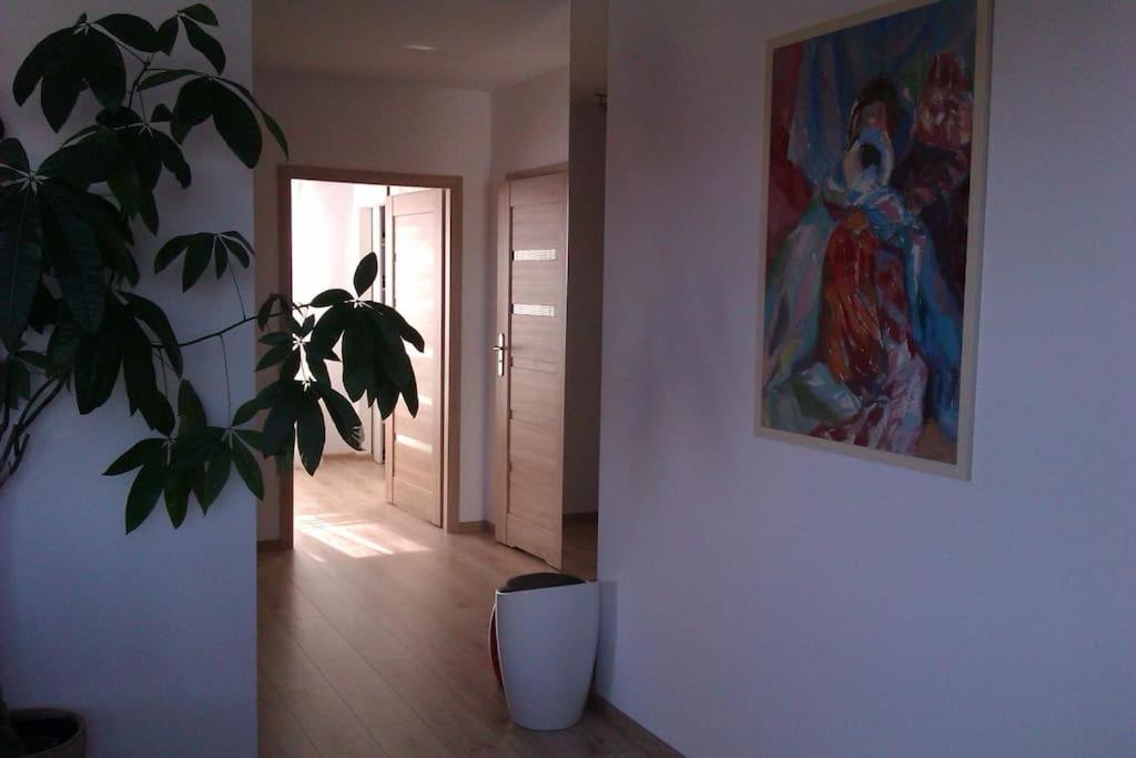 Peaceful Stay/Heart Of Gdansk/Unforgettable Extérieur photo